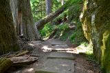 Patriarchs trail.